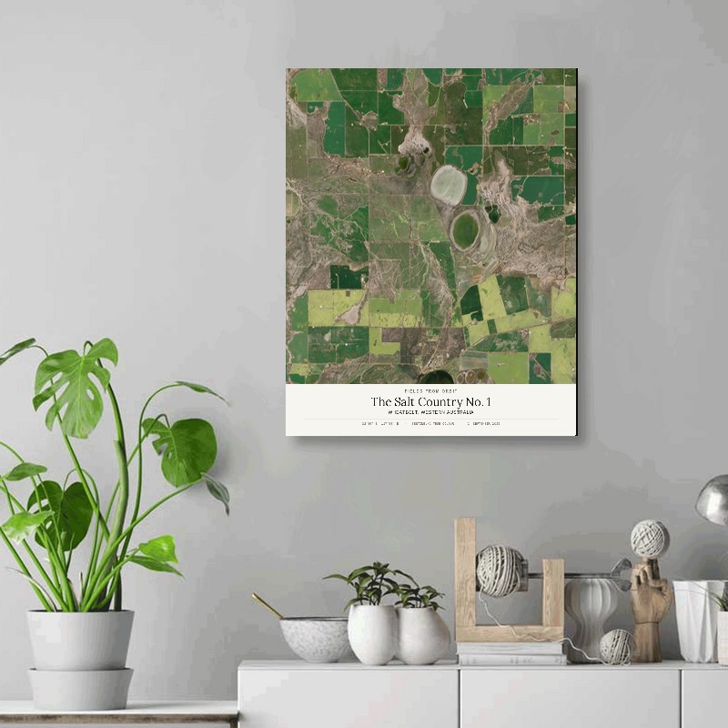 The Salt Country No. 1 — 16x20 gallery-wrapped canvas print of Wheatbelt, Western Australia shown hanging on a wall