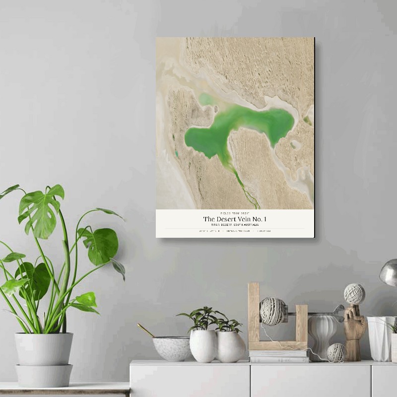The Desert Vein No. 1 — 16x20 gallery-wrapped canvas print of Tirari Desert, South Australia shown hanging on a wall