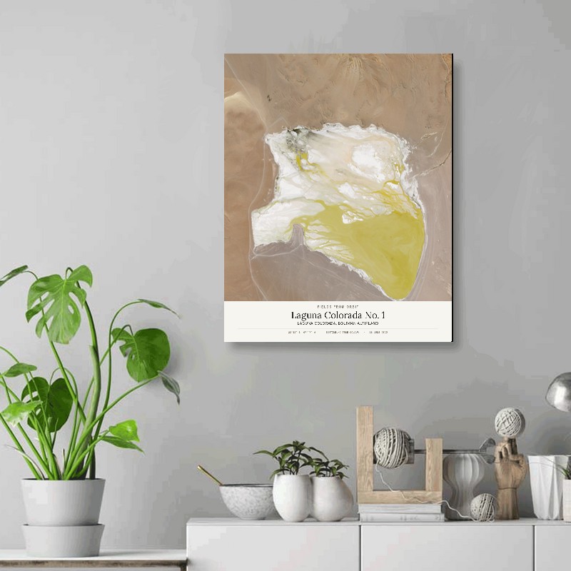 Laguna Colorada No. 1 — 16x20 gallery-wrapped canvas print of Laguna Colorada, Bolivian altiplano shown hanging on a wall