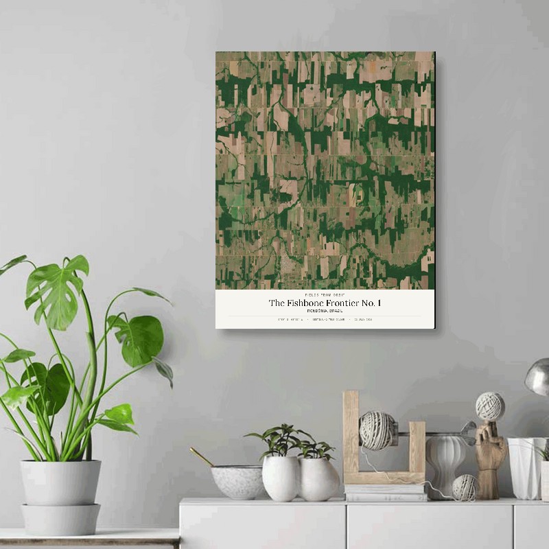 The Fishbone Frontier No. 1 — 16x20 gallery-wrapped canvas print of Rondônia, Brazil shown hanging on a wall