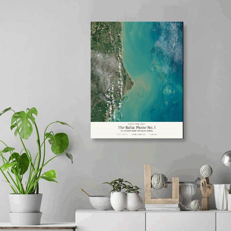 The Bahia Plume No. 1 — 16x20 gallery-wrapped canvas print of Bahia Coast, near Caravelas, Brazil shown hanging on a wall