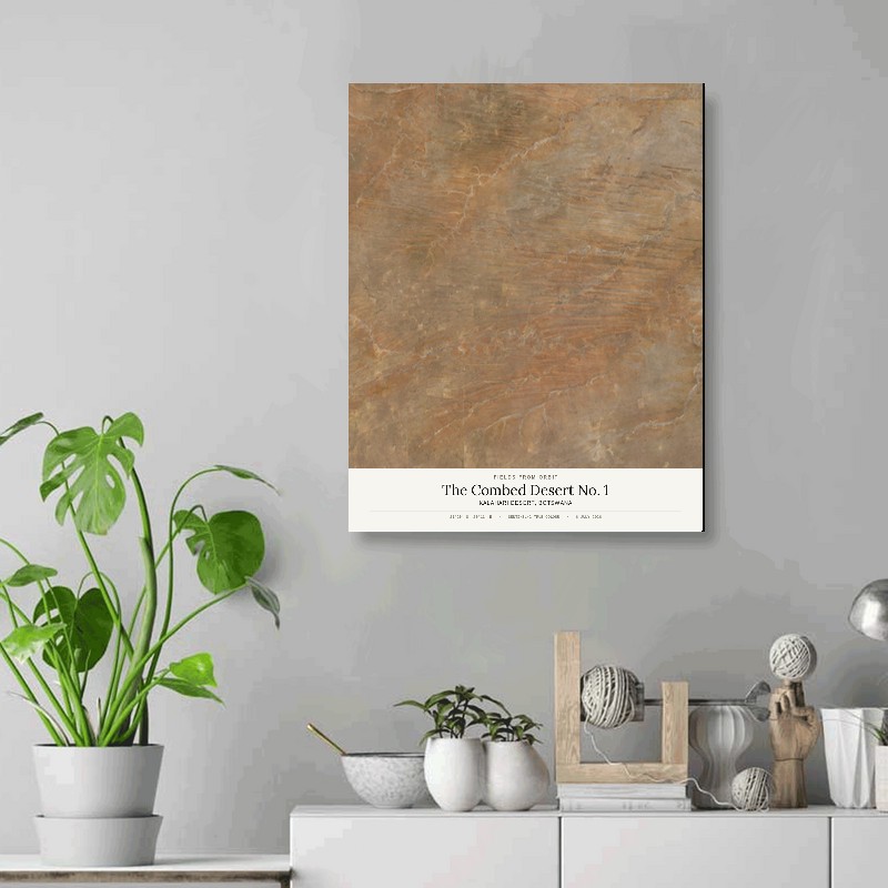 The Combed Desert No. 1 — 16x20 gallery-wrapped canvas print of Kalahari Desert, Botswana shown hanging on a wall