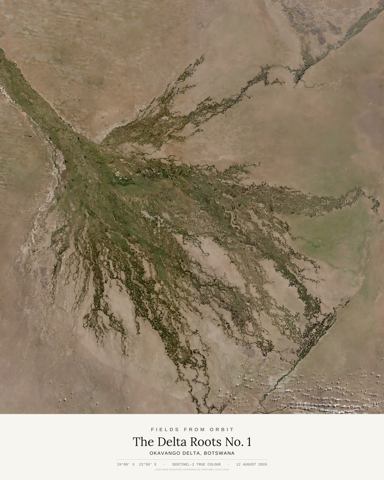 The Delta Roots No. 1 — satellite art poster of Okavango Delta, Botswana, shown with its museum label