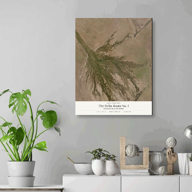 The Delta Roots No. 1 — 16x20 gallery-wrapped canvas print of Okavango Delta, Botswana shown hanging on a wall