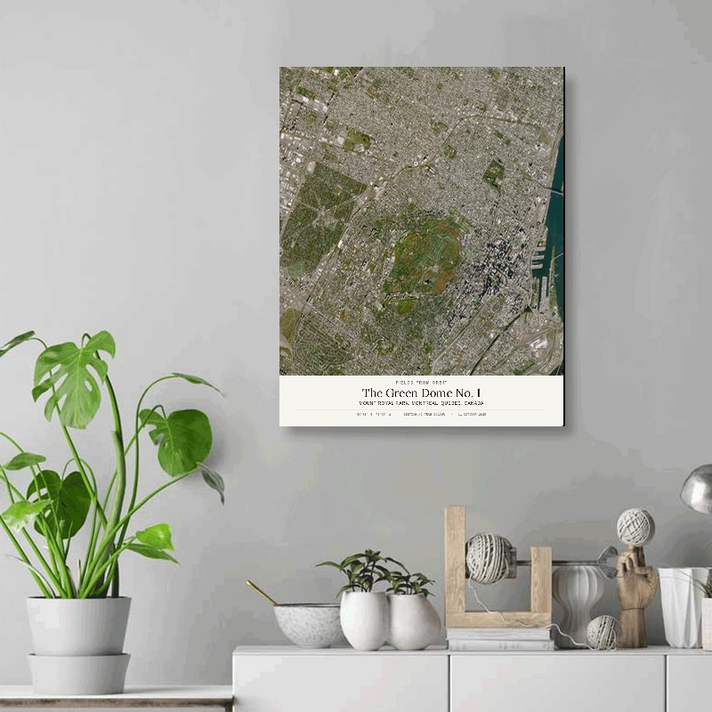 The Green Dome No. 1 — 16x20 gallery-wrapped canvas print of Mount Royal Park, Montreal, Quebec, Canada shown hanging on a wall