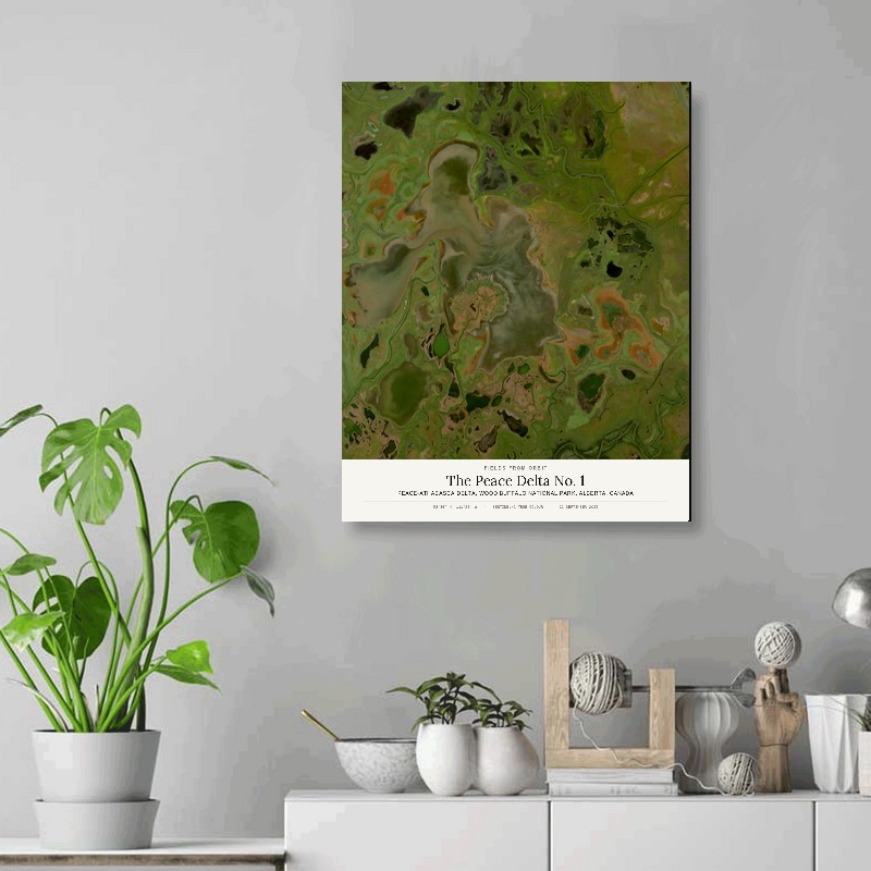 The Peace Delta No. 1 — 16x20 gallery-wrapped canvas print of Peace-Athabasca Delta, Wood Buffalo National Park, Alberta, Canada shown hanging on a wall