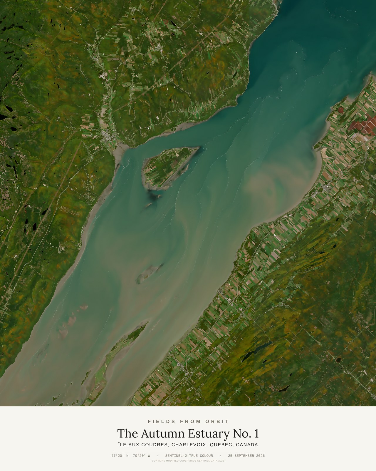 The Autumn Estuary No. 1 — satellite art print of Île aux Coudres, Charlevoix, Quebec, Canada, captured 2026-09-25