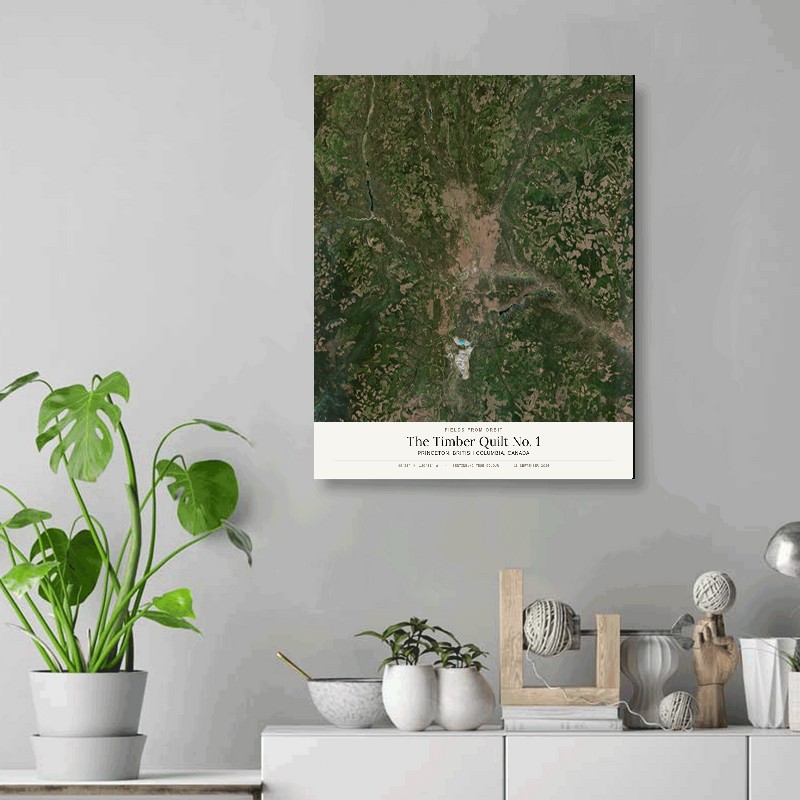 The Timber Quilt No. 1 — 16x20 gallery-wrapped canvas print of Princeton, British Columbia, Canada shown hanging on a wall