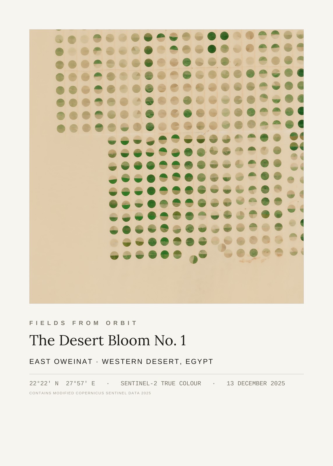 The Desert Bloom No. 1 — satellite art print of East Oweinat, Western Desert, Egypt, captured 2025-12-13