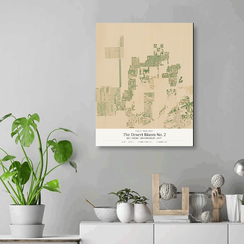The Desert Bloom No. 2 — 16x20 gallery-wrapped canvas print of East Oweinat, Western Desert, Egypt shown hanging on a wall