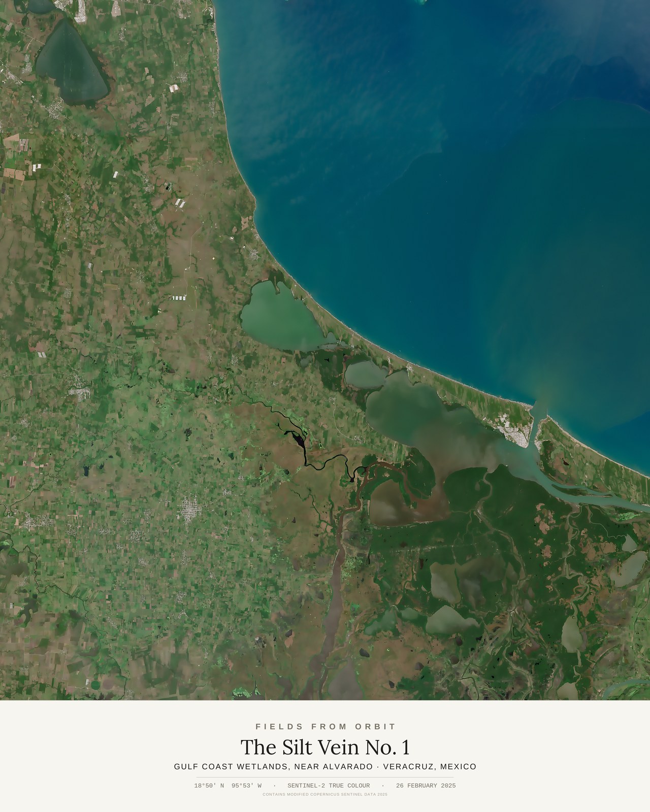 The Silt Vein No. 1 — satellite art poster of Gulf Coast wetlands near Alvarado, Veracruz, Mexico, shown with its museum label