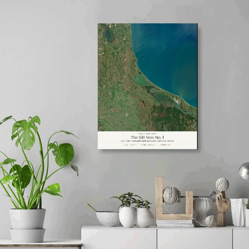 The Silt Vein No. 1 — 16x20 gallery-wrapped canvas print of Gulf Coast wetlands near Alvarado, Veracruz, Mexico shown hanging on a wall