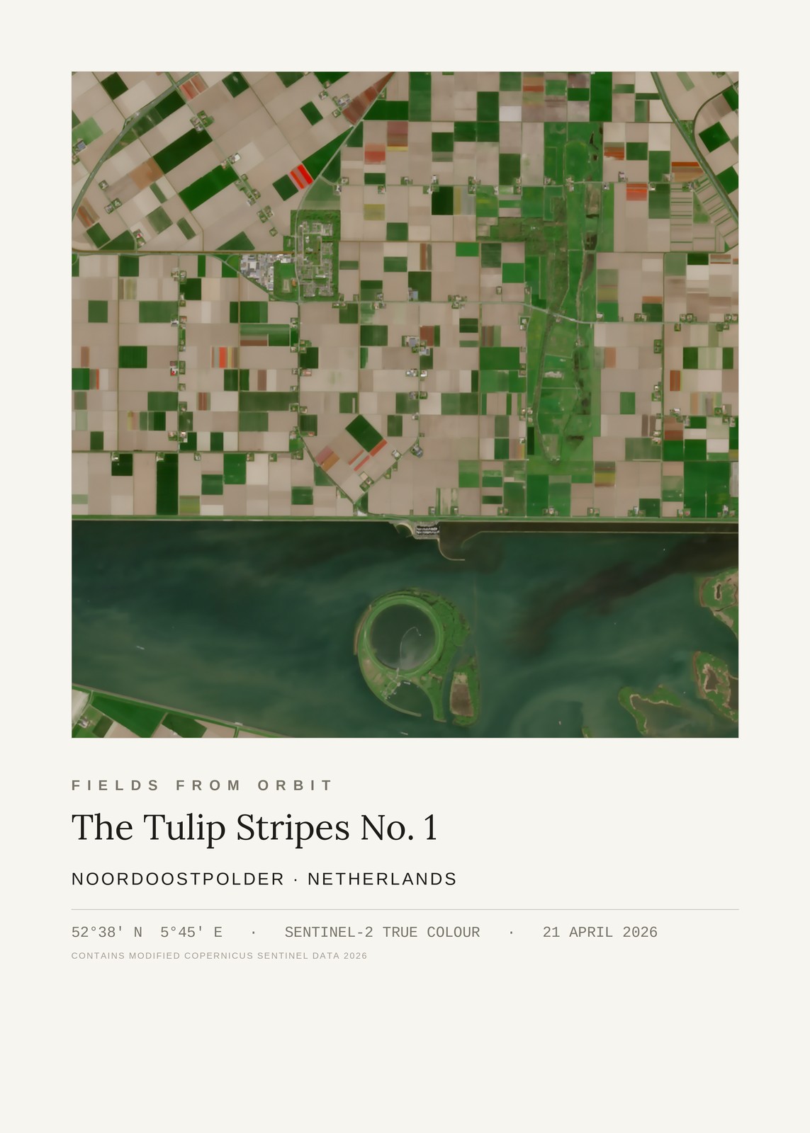 The Tulip Stripes No. 1 — satellite art print of Noordoostpolder, Netherlands, captured 2026-04-21