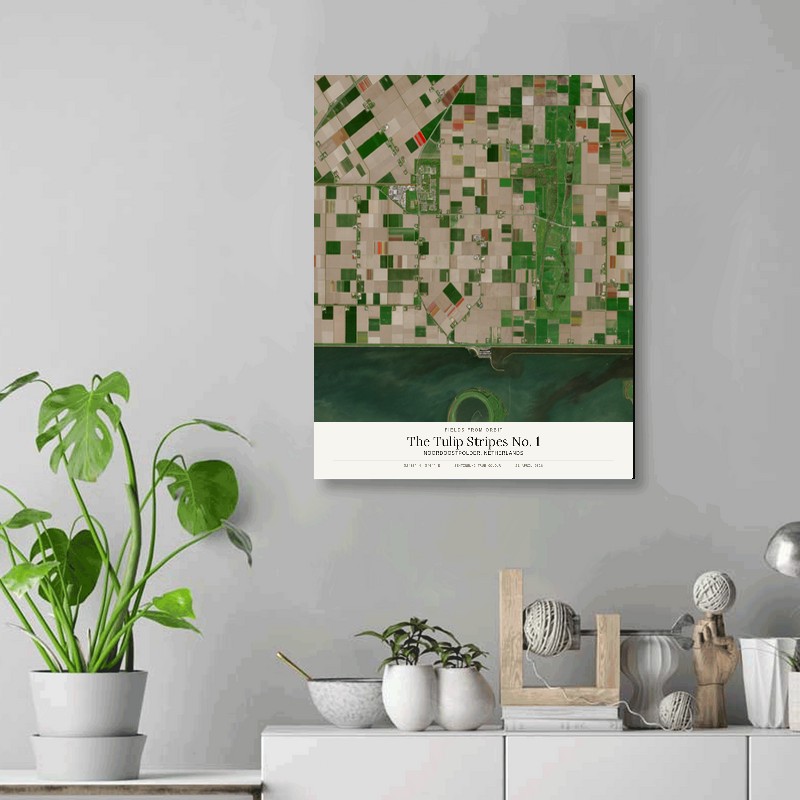 The Tulip Stripes No. 1 — 16x20 gallery-wrapped canvas print of Noordoostpolder, Netherlands shown hanging on a wall