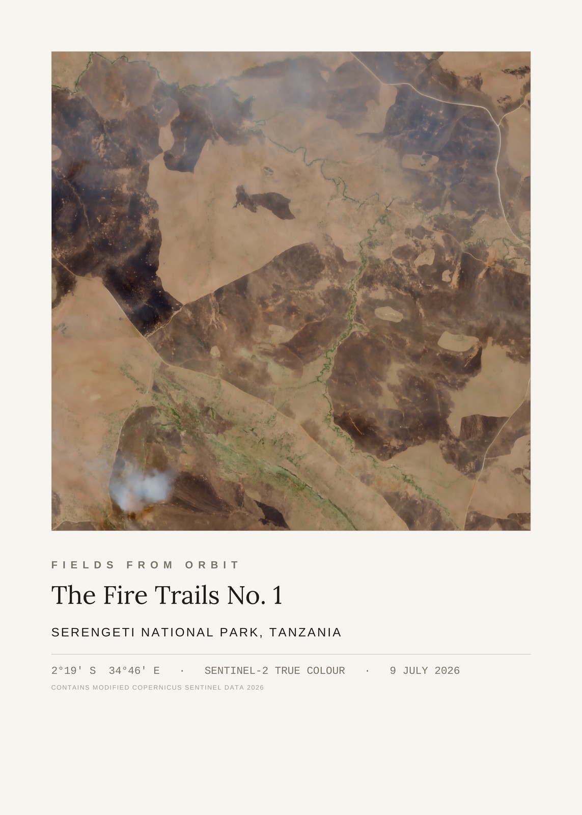The Fire Trails No. 1 — satellite art poster of Serengeti National Park, Tanzania, shown with its museum label
