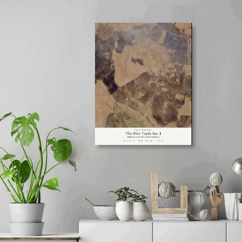 The Fire Trails No. 1 — 16x20 gallery-wrapped canvas print of Serengeti National Park, Tanzania shown hanging on a wall