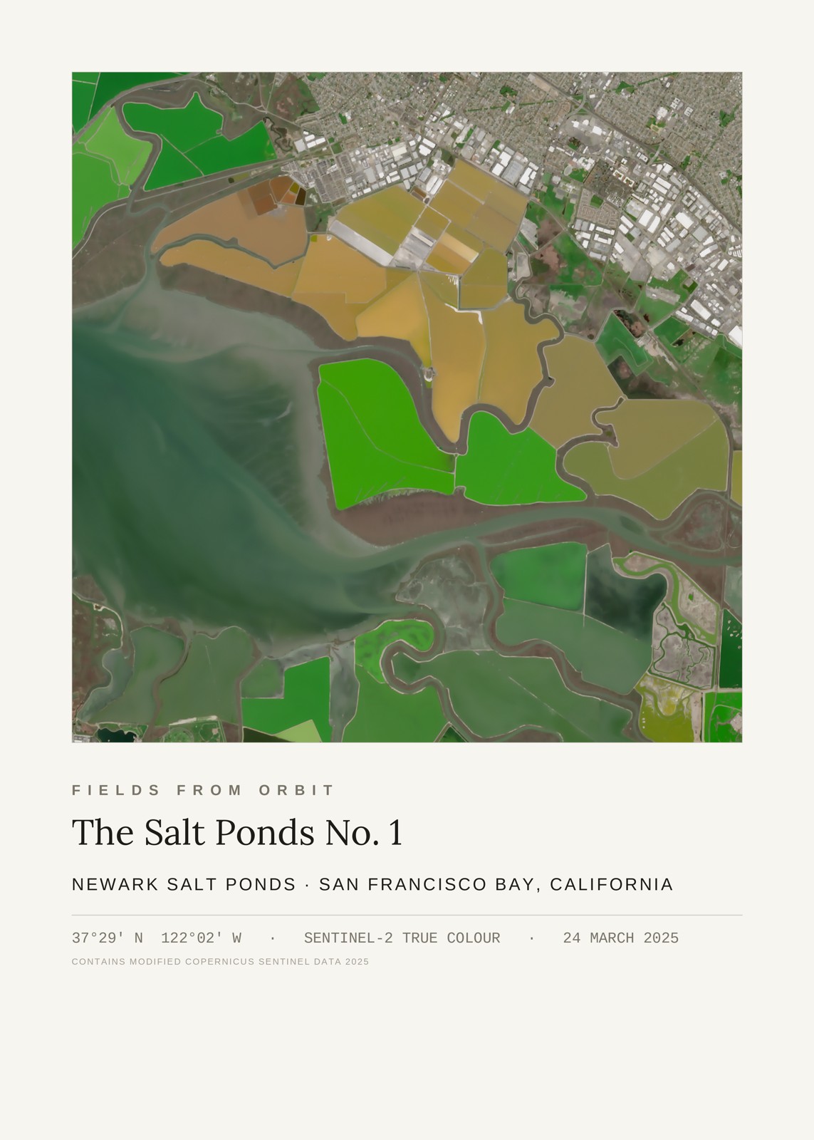 The Salt Ponds No. 1 — satellite art poster of Cargill salt ponds, Newark, San Francisco Bay, California, USA, shown with its museum label
