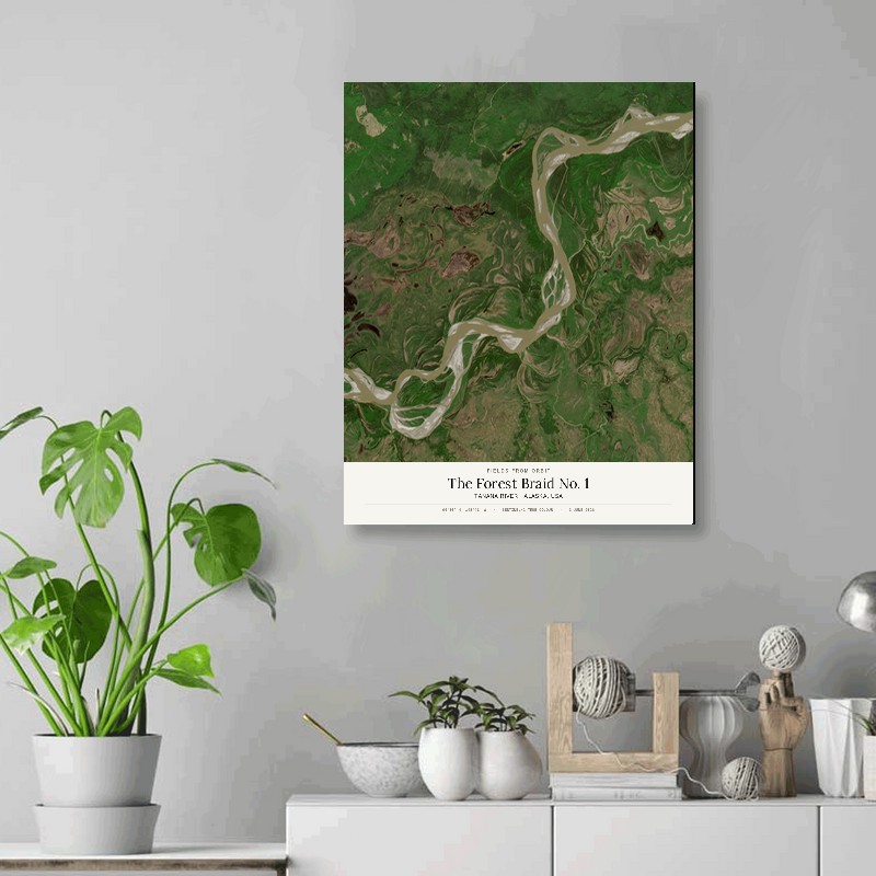 The Forest Braid No. 1 — 16x20 gallery-wrapped canvas print of Tanana River · Alaska, USA shown hanging on a wall