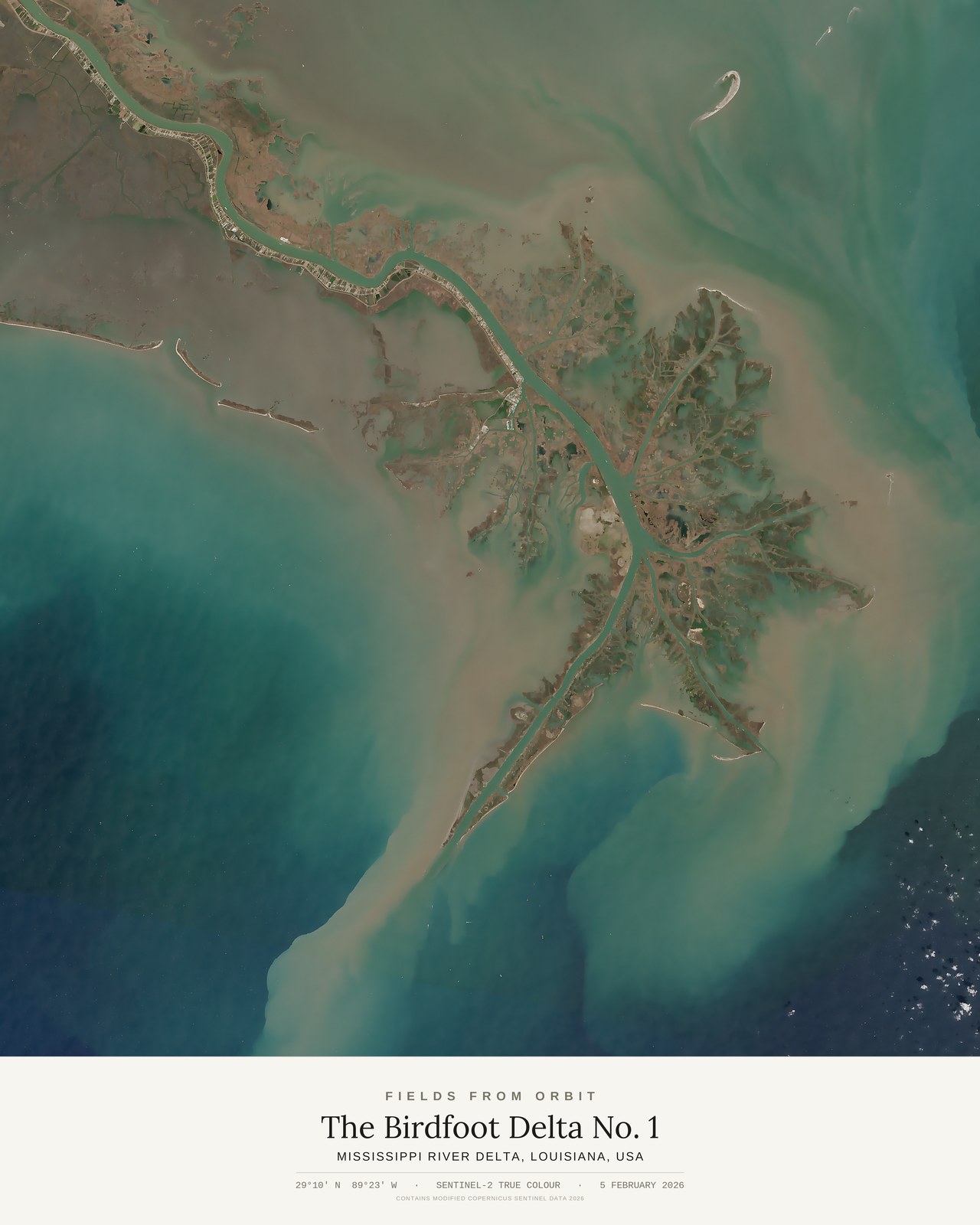 The Birdfoot Delta No. 1 — satellite art print of Mississippi River Delta, Louisiana, USA, captured 2026-02-05