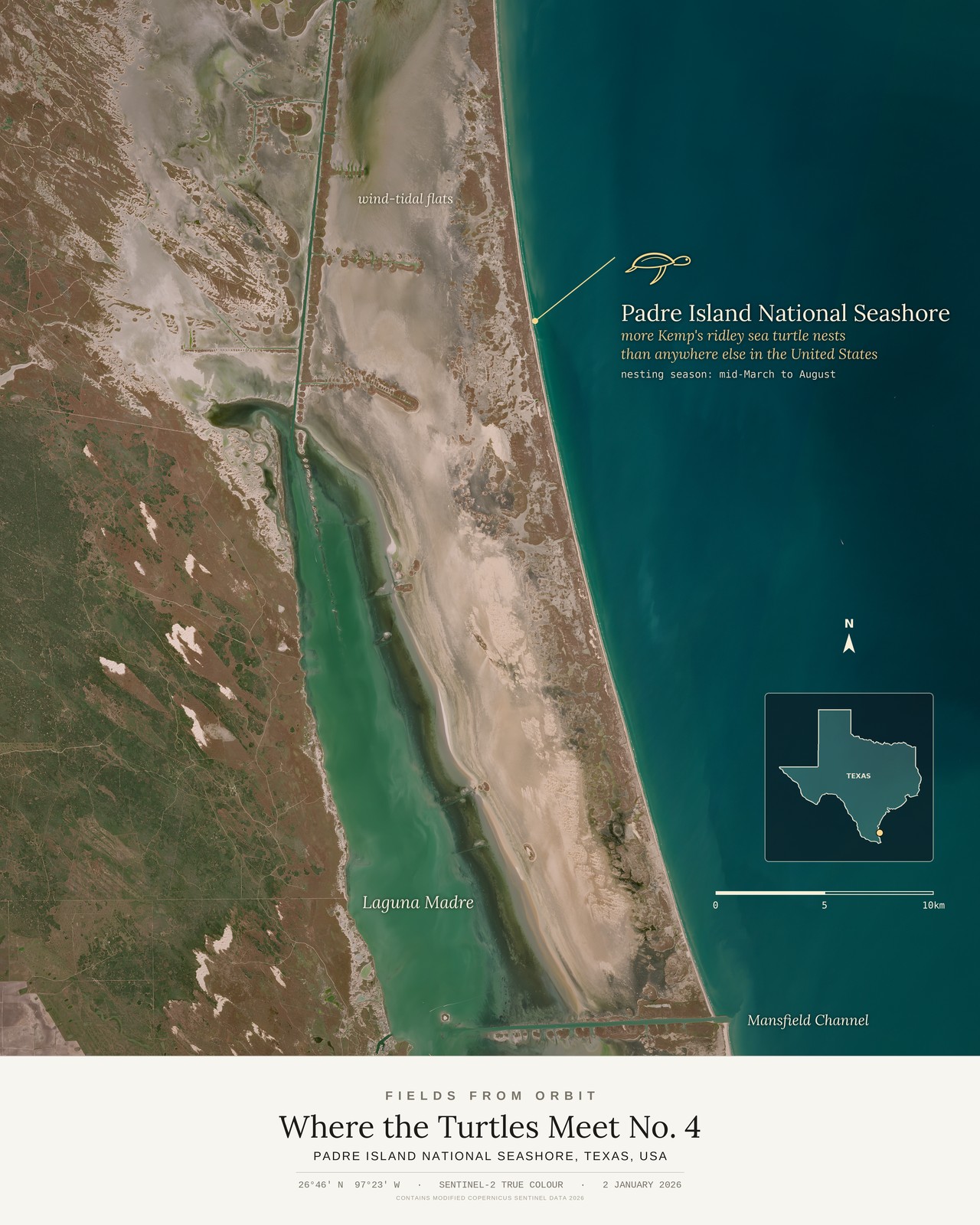 Where the Turtles Meet No. 4 — satellite art print of Padre Island National Seashore, Texas, USA, captured 2026-01-02