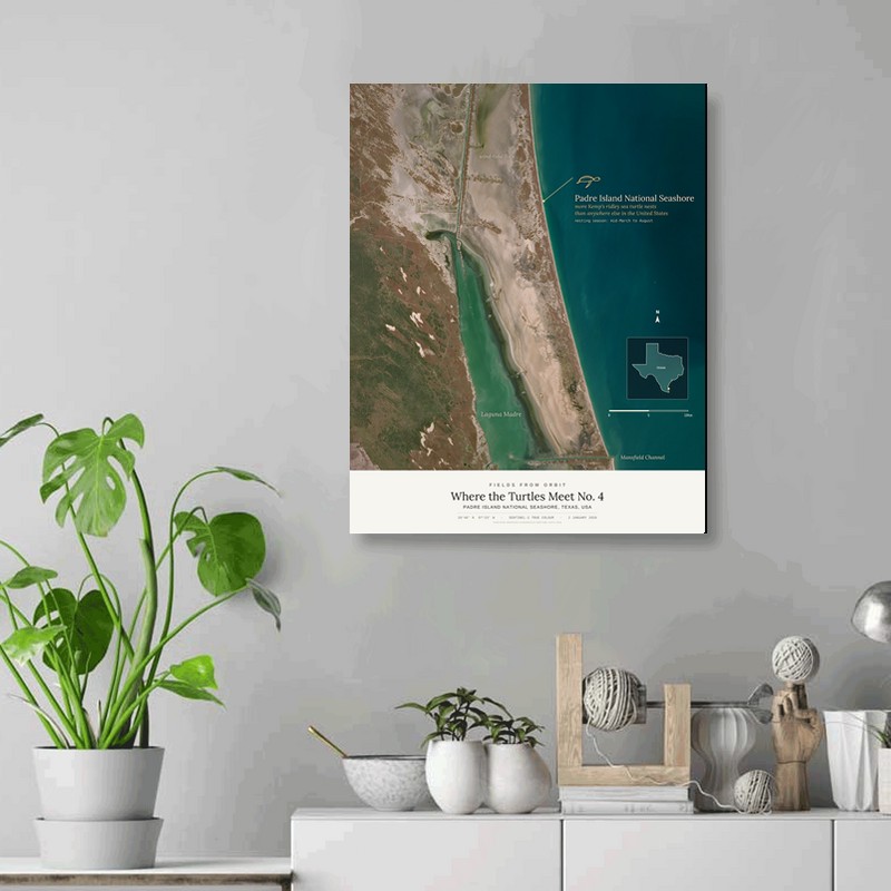 Where the Turtles Meet No. 4 — 16x20 gallery-wrapped canvas print of Padre Island National Seashore, Texas, USA shown hanging on a wall
