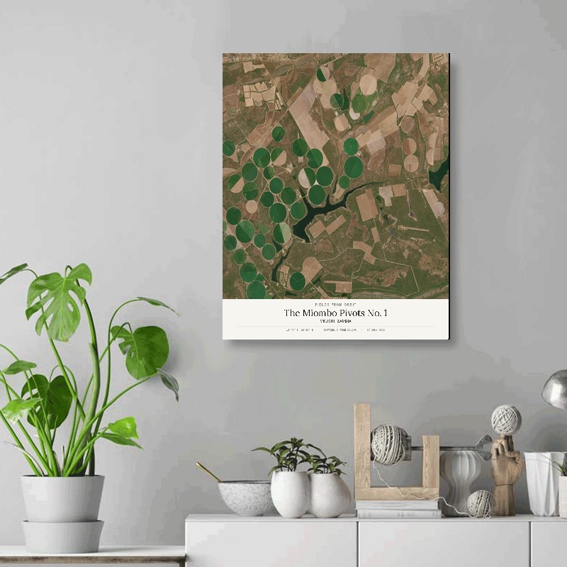The Miombo Pivots No. 1 — 16x20 gallery-wrapped canvas print of Mkushi, Zambia shown hanging on a wall