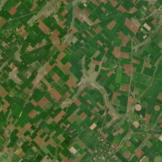 The Pampa Grid No. 1 — satellite art print of Near Pergamino, Buenos Aires Province, Argentina