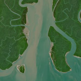 The Green Maze No. 1 — satellite art print of Sundarbans coast · Bangladesh