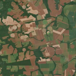 The Soy Frontier No. 1 — satellite art print of Mato Grosso, Brazil