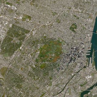 The Green Dome No. 1 — satellite art print of Mount Royal Park, Montreal, Quebec, Canada