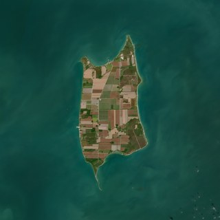 The Southern Isle No. 2 — satellite art print of Pelee Island, Lake Erie, Ontario, Canada