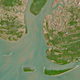 The River's Fingers No. 1 — satellite art print of Irrawaddy Delta · Myanmar