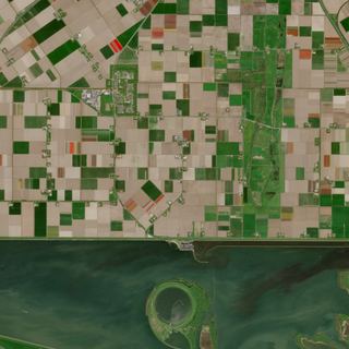 The Tulip Stripes No. 1 — satellite art print of Noordoostpolder, Netherlands