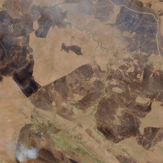 The Fire Trails No. 1 — satellite art print of Serengeti National Park, Tanzania