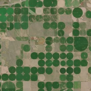 The Pivot Country No. 1 — satellite art print of Near Ogallala, Nebraska, USA