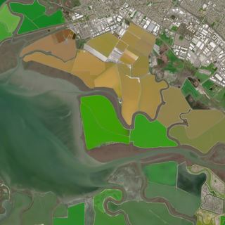 The Salt Ponds No. 1 — satellite art print of Cargill salt ponds, Newark, San Francisco Bay, California, USA