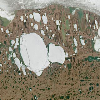 The Thaw Lakes No. 1 — satellite art print of Arctic Coastal Plain, Alaska, USA