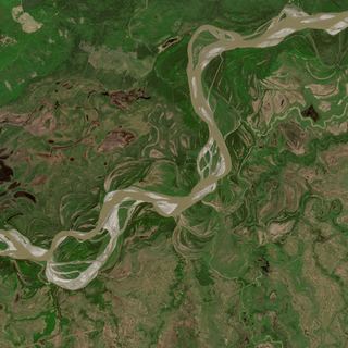 The Forest Braid No. 1 — satellite art print of Tanana River · Alaska, USA