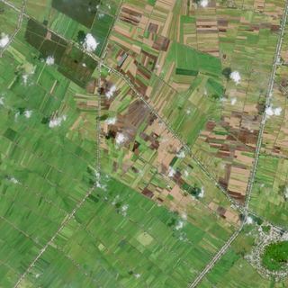 The Water Lattice No. 1 — satellite art print of An Giang, Mekong Delta, Vietnam