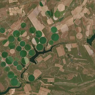 The Miombo Pivots No. 1 — satellite art print of Mkushi, Zambia